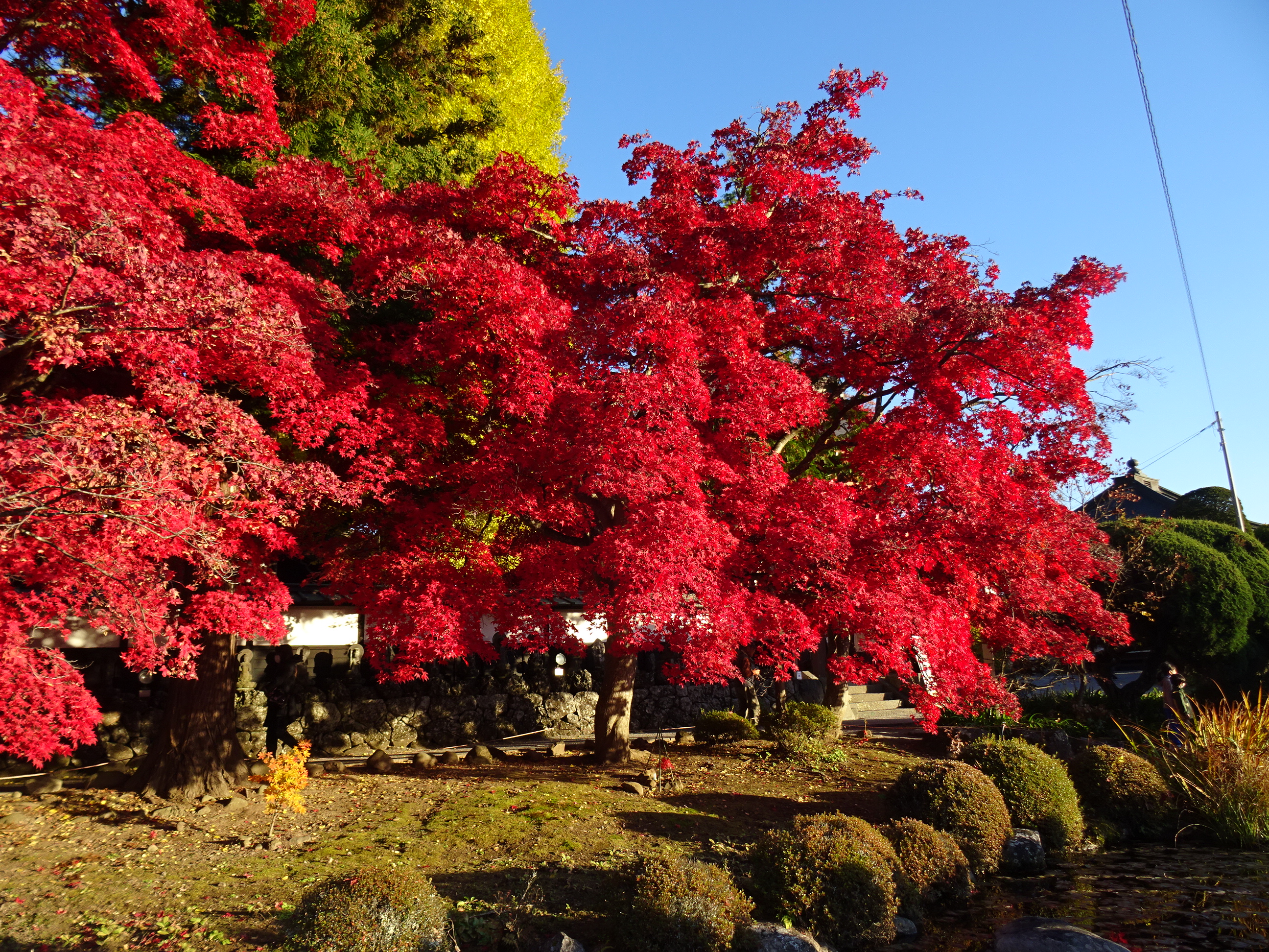 長円寺